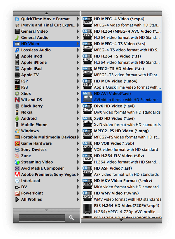 Ripper for Mac Video encoding options